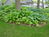 Enlarge photo 28