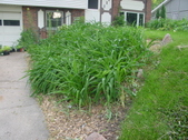 Enlarge photo 29