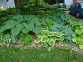 Enlarge photo 30