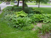 Enlarge photo 31