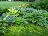 Enlarge photo 32