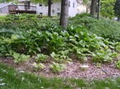 Enlarge photo 33