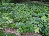 Enlarge photo 34