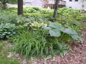 Enlarge photo 35