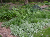 Enlarge photo 36