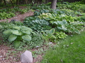 Enlarge photo 37
