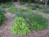 Enlarge photo 38