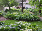 Enlarge photo 40