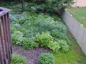 Enlarge photo 41