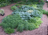 Enlarge photo 42