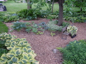 Enlarge photo 43