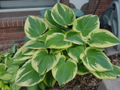 Enlarge photo 2