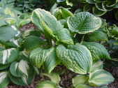 Enlarge photo 15