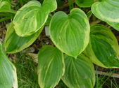 Enlarge photo 48