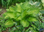 Enlarge photo 51