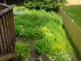 Enlarge photo 119
