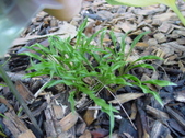 Enlarge photo 132