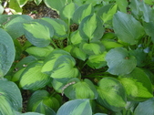 Enlarge photo 136