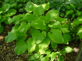 Enlarge photo 148