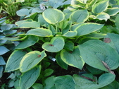 Enlarge photo 163