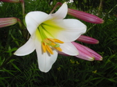 Enlarge photo 173