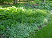 Enlarge photo 211
