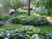 Enlarge photo 215