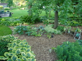 Enlarge photo 218