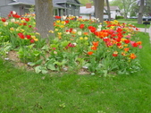 Enlarge photo 32