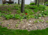 Enlarge photo 37