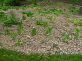 Enlarge photo 38