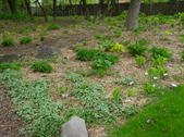 Enlarge photo 41