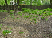 Enlarge photo 43