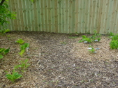 Enlarge photo 46