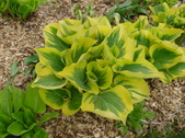 Enlarge photo 25