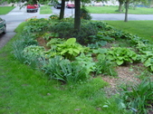 Enlarge photo 78
