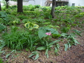 Enlarge photo 82