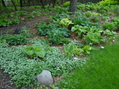 Enlarge photo 84