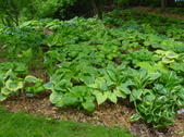 Enlarge photo 114