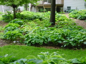 Enlarge photo 120
