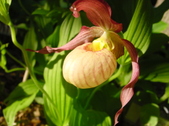 Enlarge photo 144