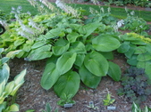 Enlarge photo 10