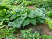 Enlarge photo 29