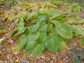 Enlarge photo 17