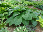 Enlarge photo 31