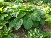 Enlarge photo 30