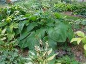Enlarge photo 33