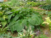 Enlarge photo 34