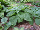 Enlarge photo 28