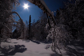 Enlarge photo 24